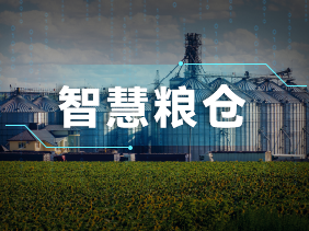 實(shí)時(shí)監(jiān)測(cè)+智能預(yù)警！松柏傳感氣體傳感器助力綠色儲(chǔ)糧